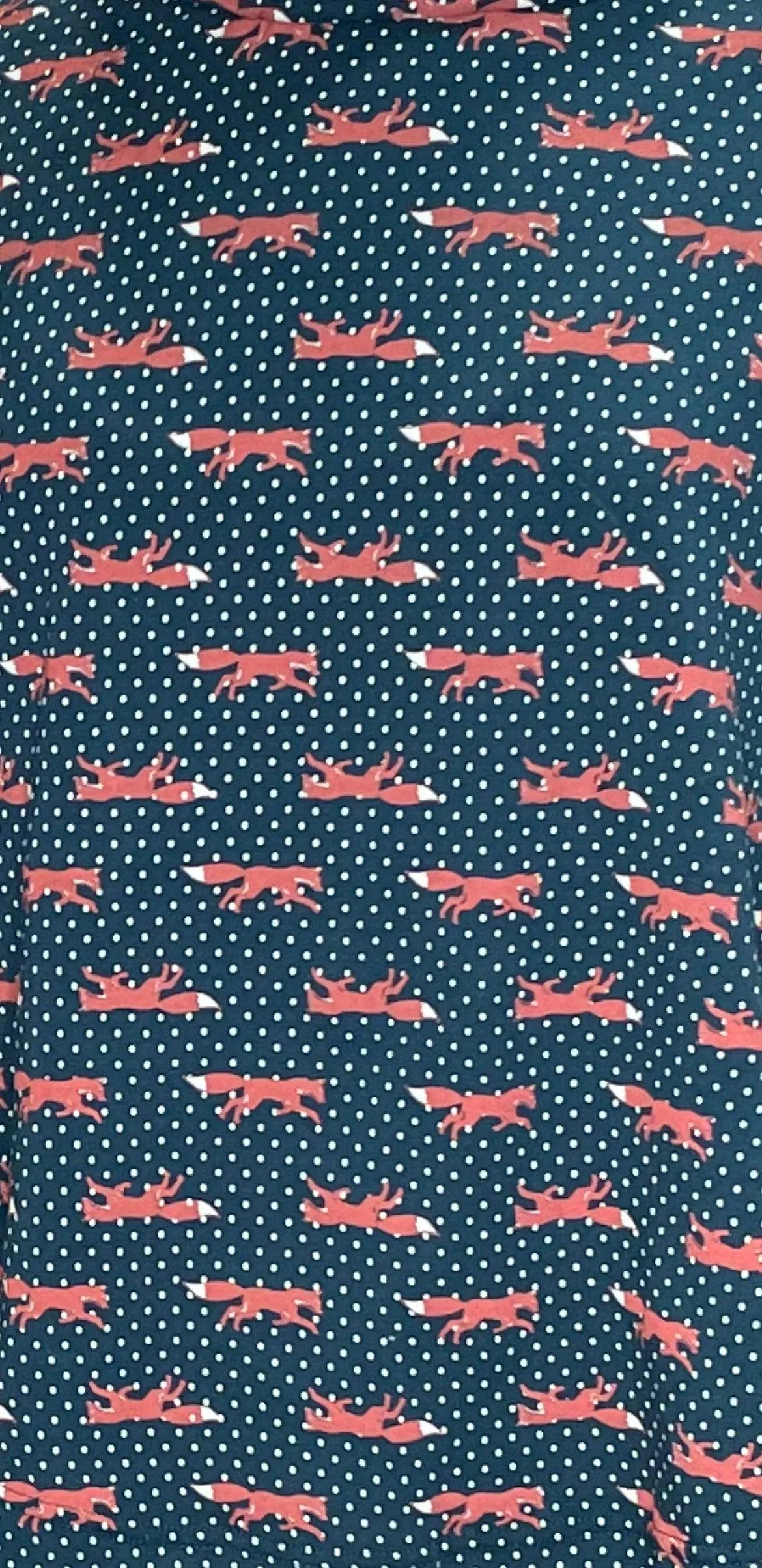 Carnaby Skirt in Fox Print by Effie's Heart