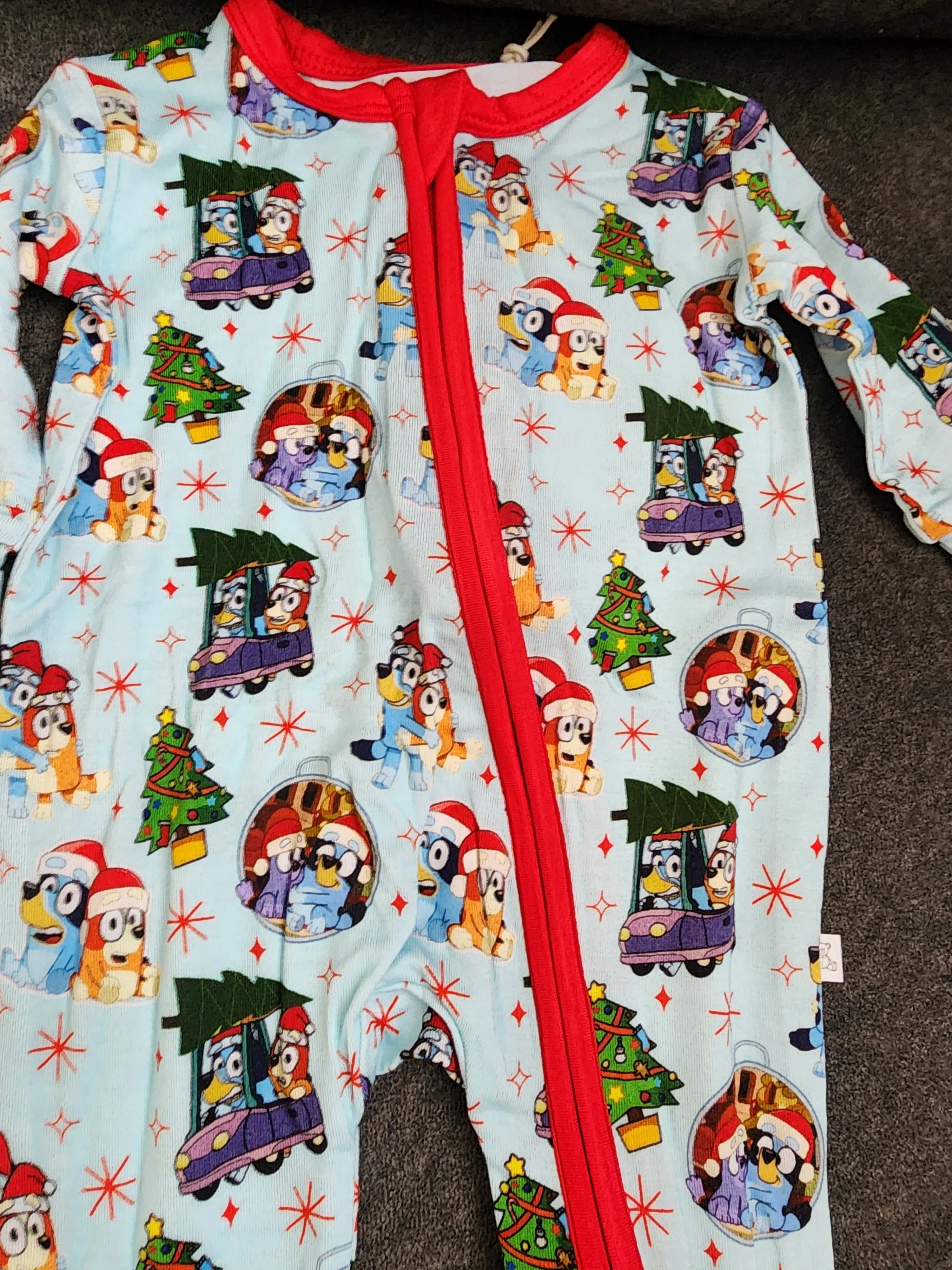 CP Bluey, Bingo and Family Christmas Zipper Sleeper Footie PJ's