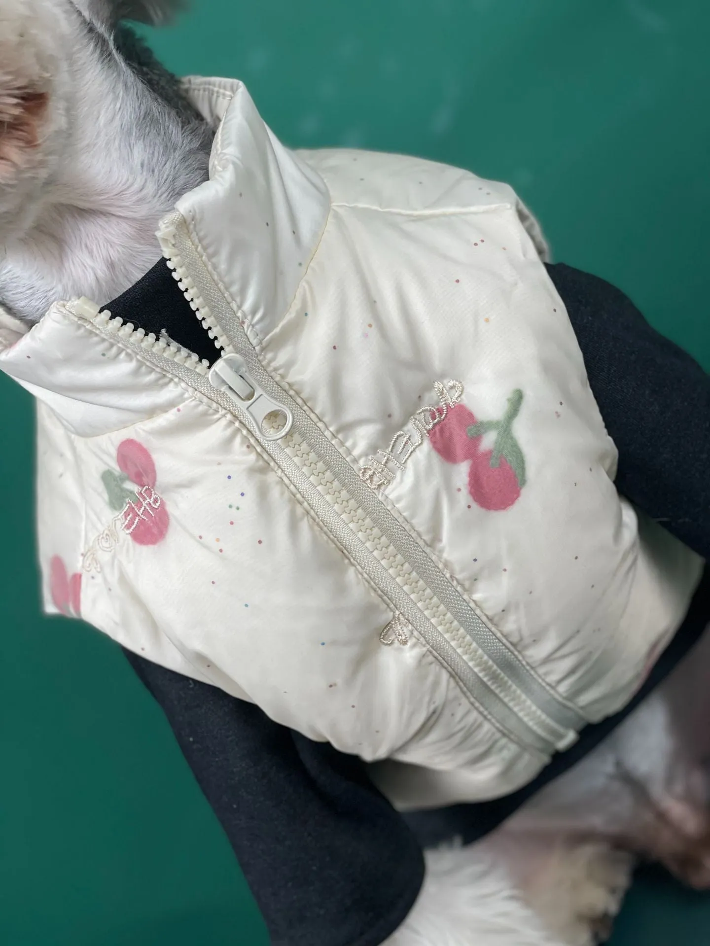 Fashion Dog Clothes Autumn And Winter Warm Cherry Vest