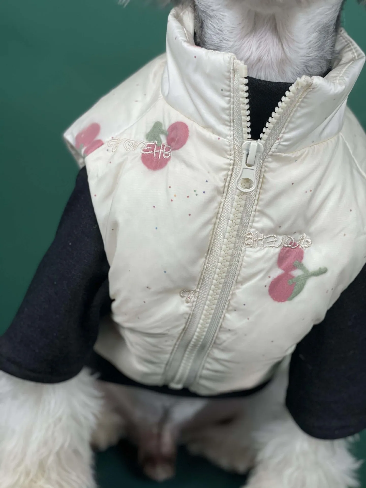 Fashion Dog Clothes Autumn And Winter Warm Cherry Vest