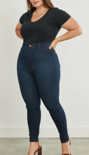 Indigo Beauty Plus Size Skinny Jeans