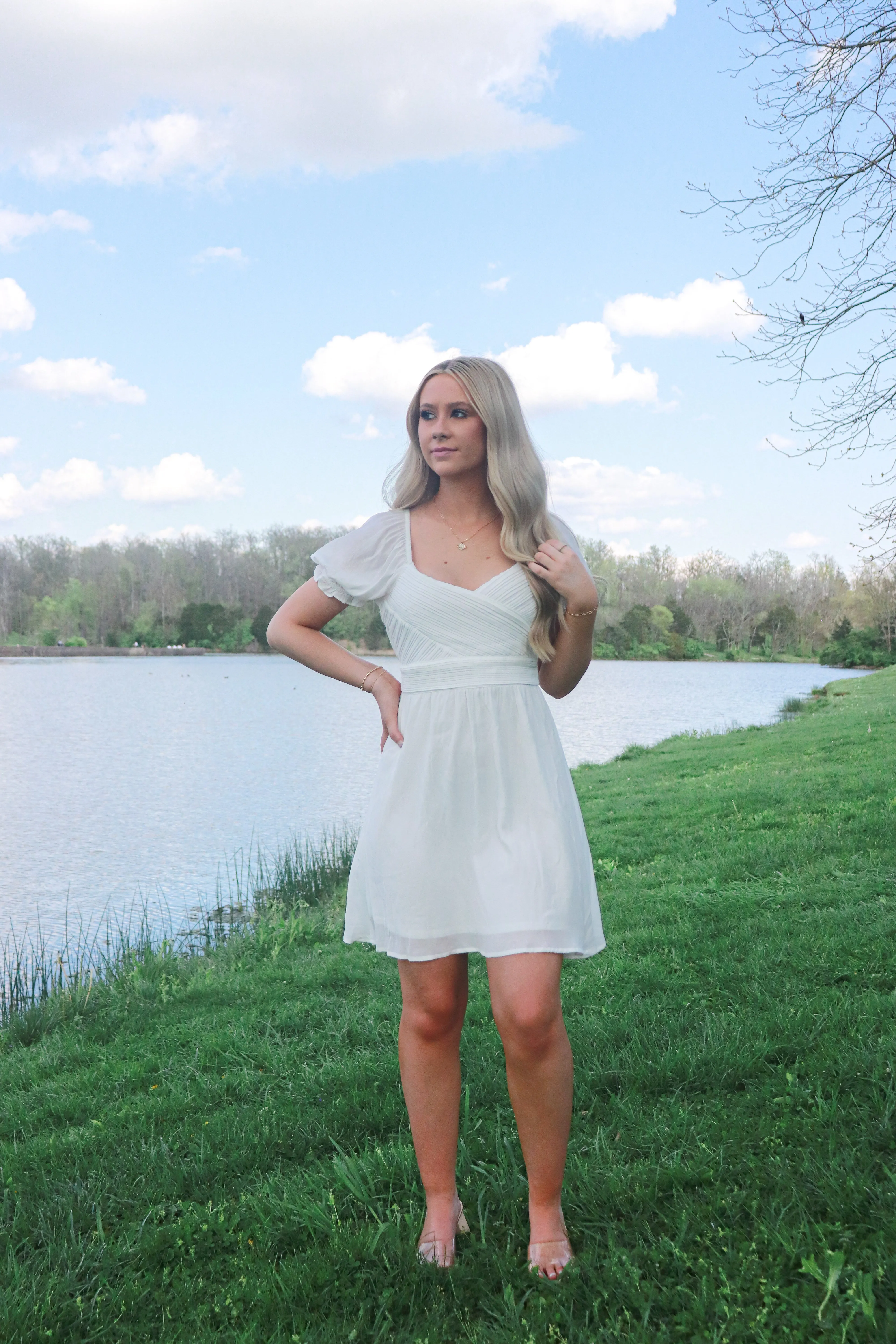 Southern Bell Puff Sleeve Mini Dress