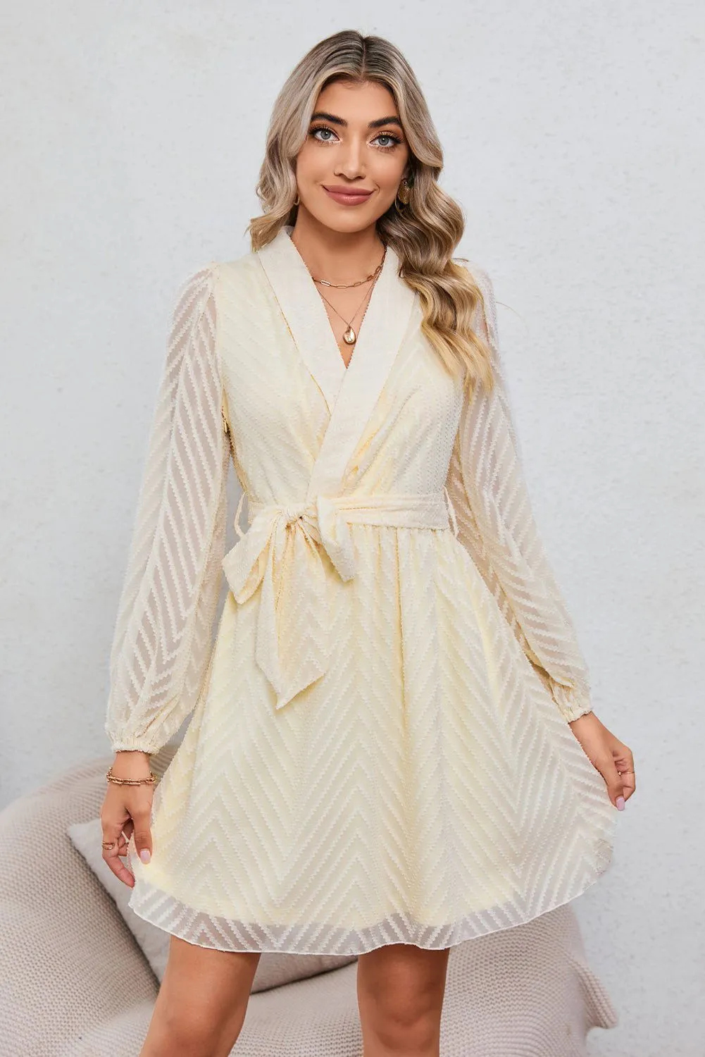 Textured Wrap V Neck Waist Belted Long Sleeve Dress